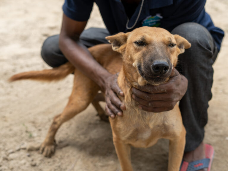 Earthlings Trust's Rescue Tales