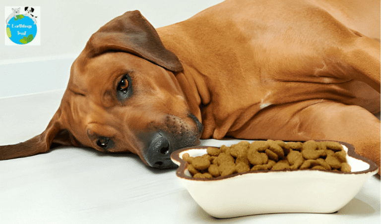 Mastering-the-Kidney-Diet-for-Dogs-A-Complete-Guide-to-Renal-Health