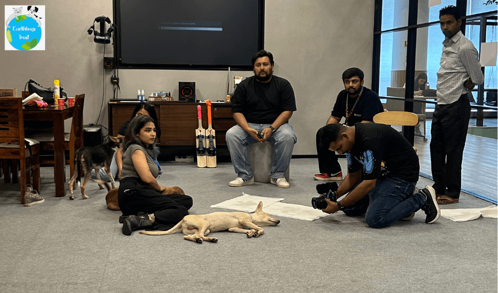 Nestlé’s First-Ever Adoption Drive for Indie Dogs, with Earthlings Trust