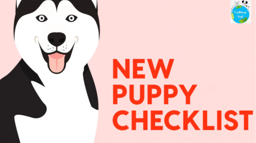 Preparing for New Puppies