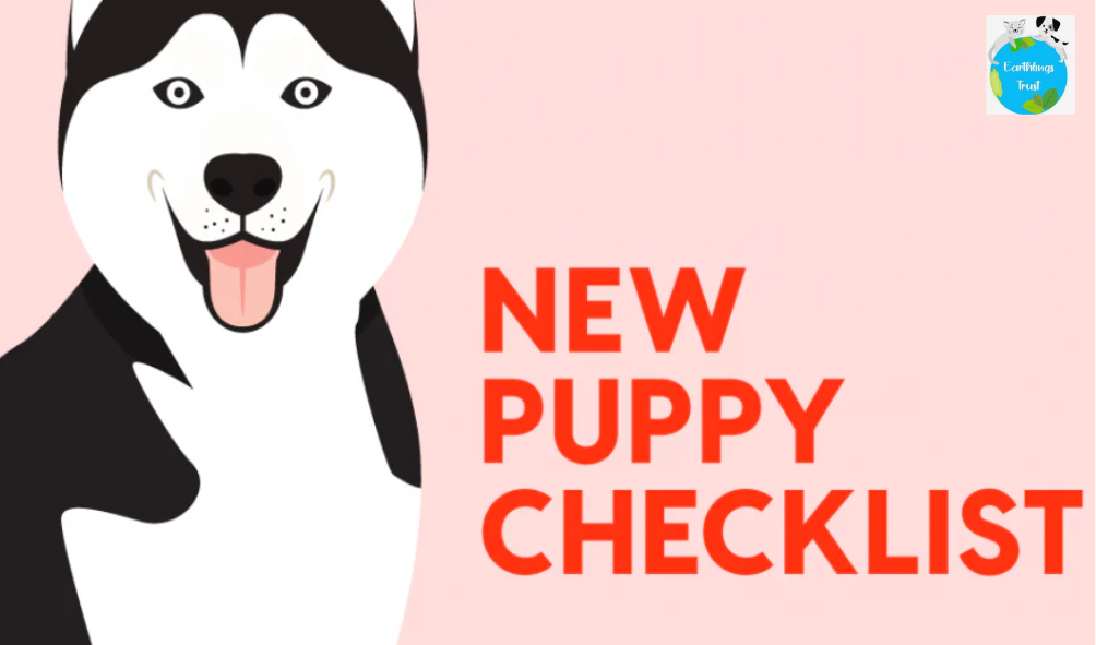 Preparing for New Puppies: Essential Care Tips for Dog Parents