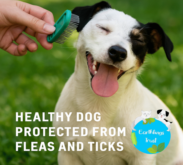 Stop Fleas and Ticks