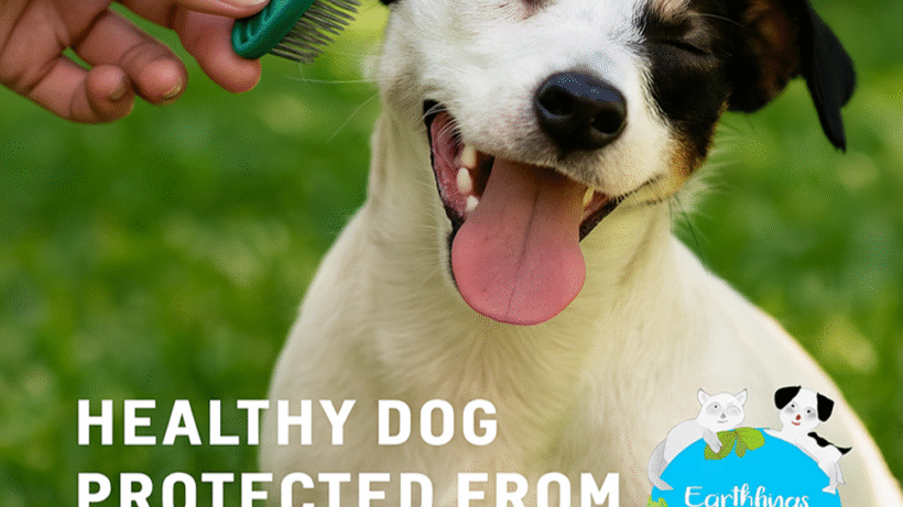 Stop Fleas and Ticks